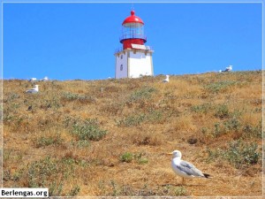 Localização das Berlengas | Arquipélago das Berlengas